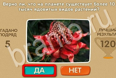 Игра Проверь себя подсказки Уровень 3498