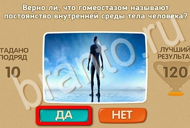 Проверь себя игра ответы Уровень 3503