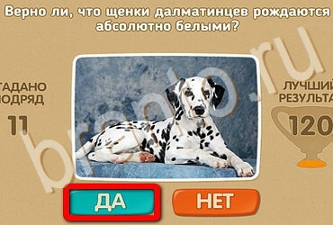 Проверь себя игра подсказки Уровень 3504