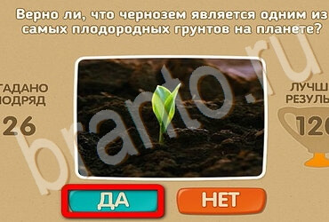 Проверь себя подсказки одноклассники Уровень 3519