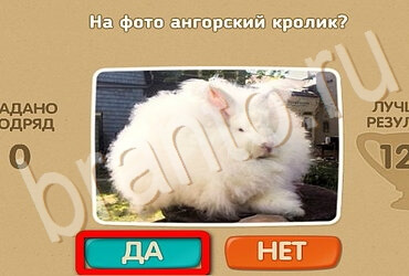 игра Проверь себя ответ на Уровень 3530