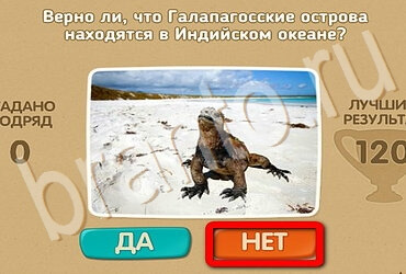 Игра Проверь себя подсказки Уровень 3538