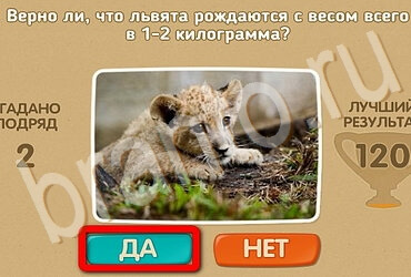 игра Проверь себя ответ на Уровень 3540