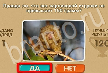 Игра Проверь себя ответы Уровень 3557