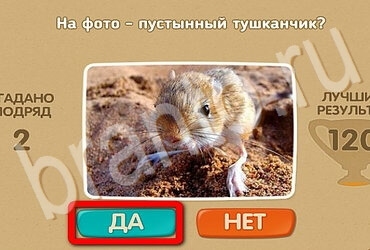 Проверь себя игра подсказки Уровень 3564