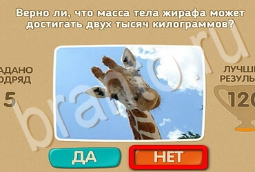 Игра Проверь себя ответы Уровень 3567