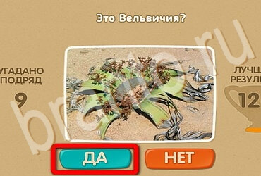 ответы на игру Проверь себя в одноклассниках Уровень 3571