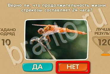 Подсказки на игру Проверь себя Уровень 3572