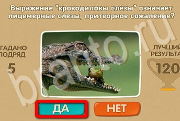 игра Проверь себя помощь Уровень 3589