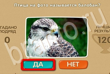 Игра Проверь себя подсказки Уровень 3598