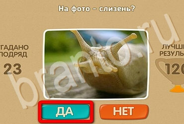 решебник на игру Проверь себя Уровень 3621