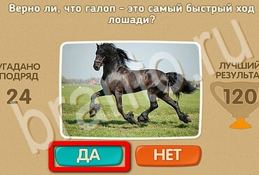 Проверь себя решения Уровень 3622