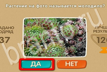 ответы к игре Проверь себя Уровень 3635