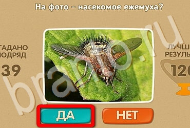 Проверь себя игра ответы в одноклассниках Уровень 3637