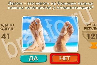 Проверь себя подсказки одноклассники Уровень 3639