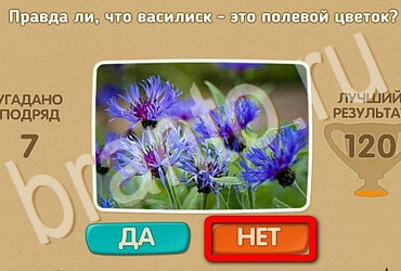 Игра Проверь себя ответы Уровень 3657