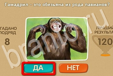 Игра Проверь себя подсказки Уровень 3658