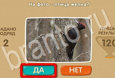 ответы к игре Проверь себя Уровень 3665