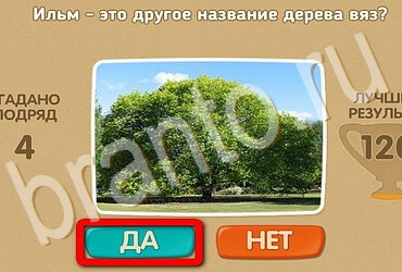 Проверь себя игра ответы в одноклассниках Уровень 3667