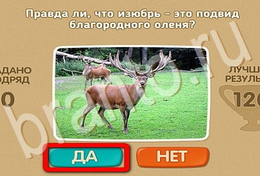 решебник на игру Проверь себя Уровень 3681