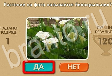 Проверь себя решения Уровень 3682