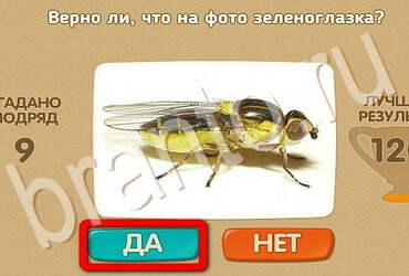 игра Проверь себя ответ на Уровень 3690