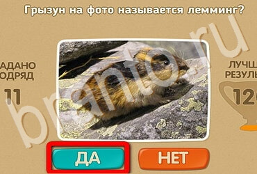 Подсказки на игру Проверь себя Уровень 3692