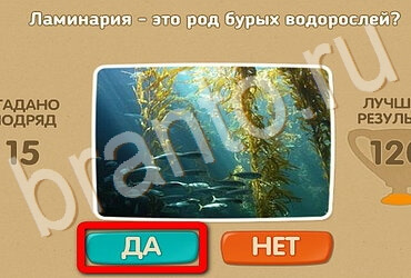 ответы на игру в одноклассниках Проверь себя Уровень 3696