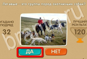 Проверь себя игра ответы Уровень 3713