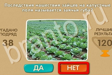 игра Проверь себя помощь Уровень 3719