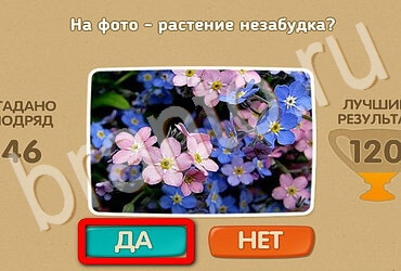 Проверь себя игра ответы в одноклассниках Уровень 3727