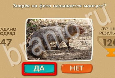 Одноклассники Проверь себя ответы Уровень 3728