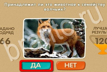 Игра Проверь себя ответы Уровень 3747