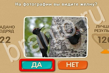 игра Проверь себя помощь Уровень 3779