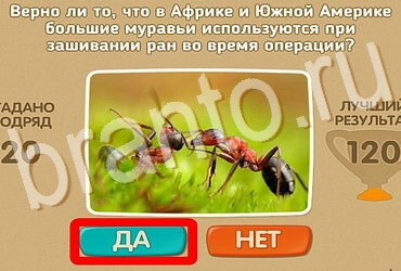 Подсказки на игру Проверь себя Уровень 3812