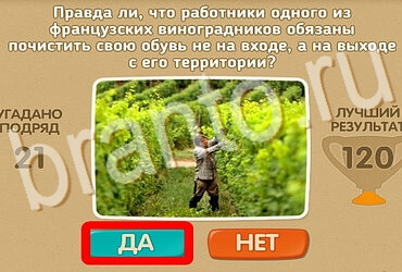 Решения на игру Проверь себя Уровень 3813