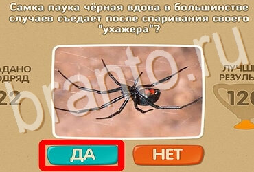 Помощь на игру ОКи Проверь себя Уровень 3814