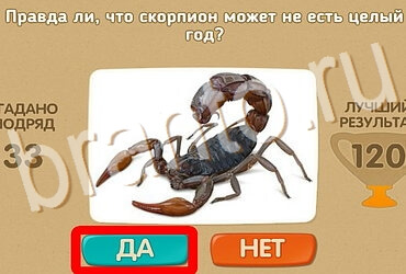 Проверь себя игра помощь Уровень 3825