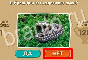 Проверь себя подсказки одноклассники Уровень 3849