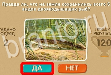 Проверь себя игра подсказки Уровень 3854