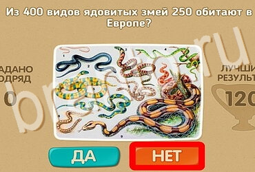 Игра Проверь себя подсказки Уровень 3858
