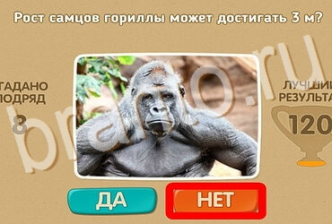 Проверь себя ответы в картинках Уровень 3866