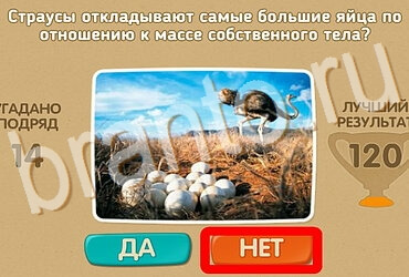 Подсказки на игру Проверь себя Уровень 3872