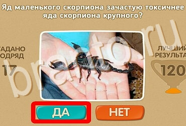 ответы к игре Проверь себя Уровень 3875