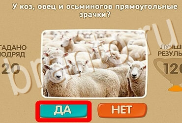 Одноклассники Проверь себя ответы Уровень 3878