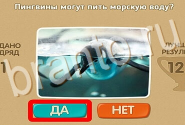 решебник на игру Проверь себя Уровень 3881