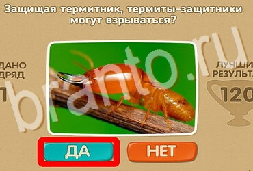 Проверь себя игра подсказки Уровень 3884