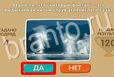 Игра Проверь себя ответы Уровень 3887