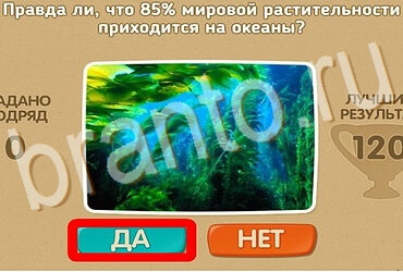 игра Проверь себя ответ на Уровень 3910