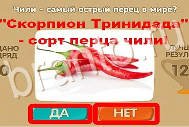 решебник на игру Проверь себя Уровень 3921